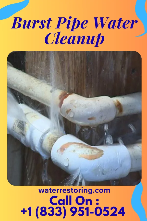 Burst Pipe Water Cleanup in Mitchell Heights, WV