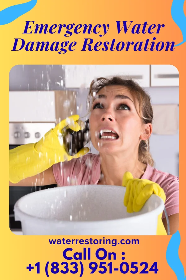 Emergency Water Damage Restoration in Mitchell Heights, WV