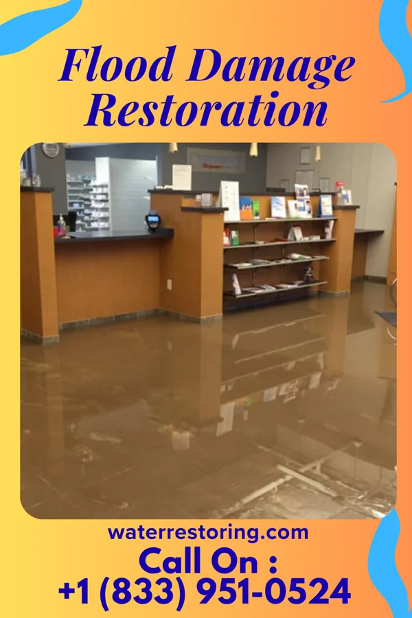 Flood Damage Restoration in Mitchell Heights, WV