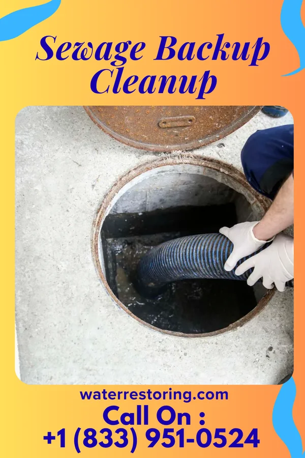 Sewage Backup Cleanup in Mitchell Heights, WV