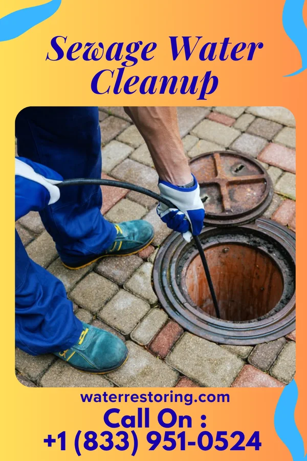 Sewage Water Cleanup in Mitchell Heights, WV