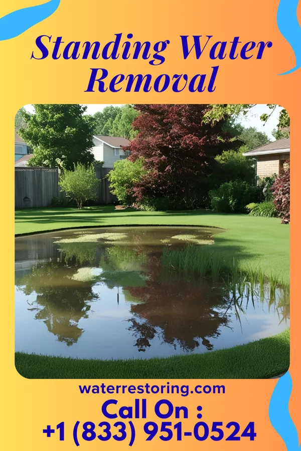 Standing Water Removal in Mitchell Heights, WV